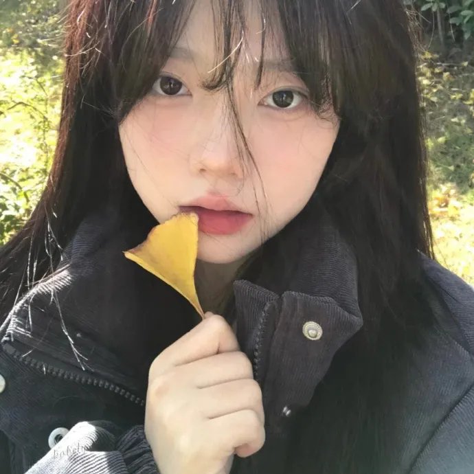 副总统第二季海报